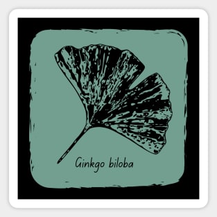 Ginkgo biloba black Magnet